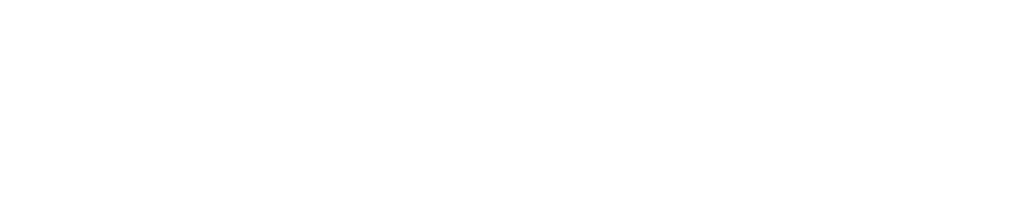 SpeedUp logo white